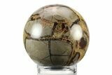 Polished Septarian Sphere - Madagascar #238998-1